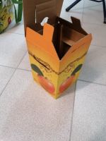 Bag in Box für Apfelsaft 5 liter Saftkartongs Nordrhein-Westfalen - Bad Sassendorf Vorschau