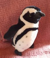 Stofftier Pinguin "Born in Africa" (in Kapstadt gefertigt), *NEU* Niedersachsen - Uplengen Vorschau