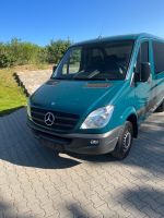 Mercedes Sprinter 416 CDI Aus erster Hand Rheinland-Pfalz - Alzey Vorschau