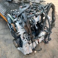 MOTOR CNH 2.0TDI CNHC CNHB CNHD AUDI A4 Q5 A5 Nordrhein-Westfalen - Schloß Holte-Stukenbrock Vorschau