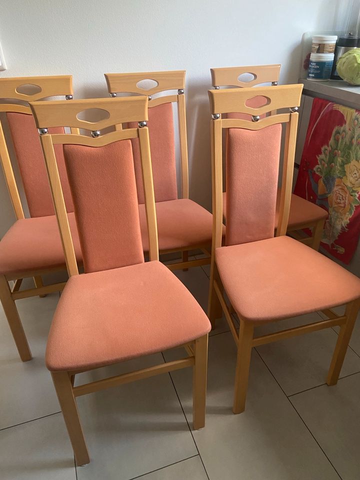 5 Stühle Buchegestell in Ebstorf