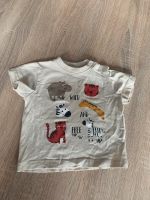 Tshirt Safari Gr 68 Nordrhein-Westfalen - Vreden Vorschau