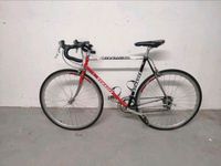 Rennrad Schauff Prestige 96, Klassiker, selten Bayern - Gerbrunn Vorschau