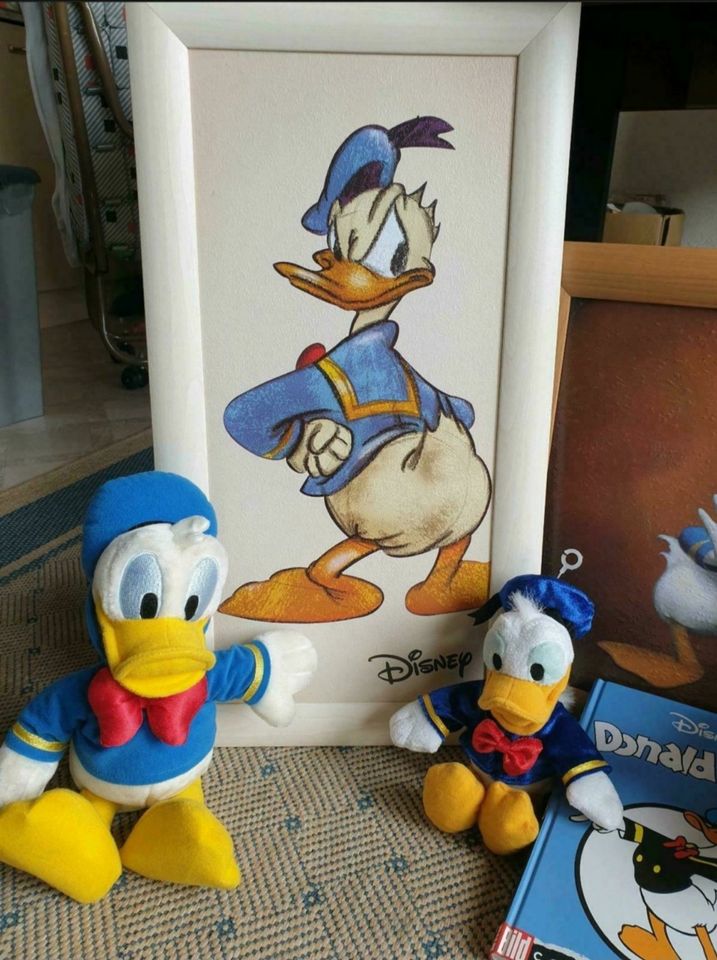 Donald Duck Set Disney Paris, DVD, Tasche in Gladenbach