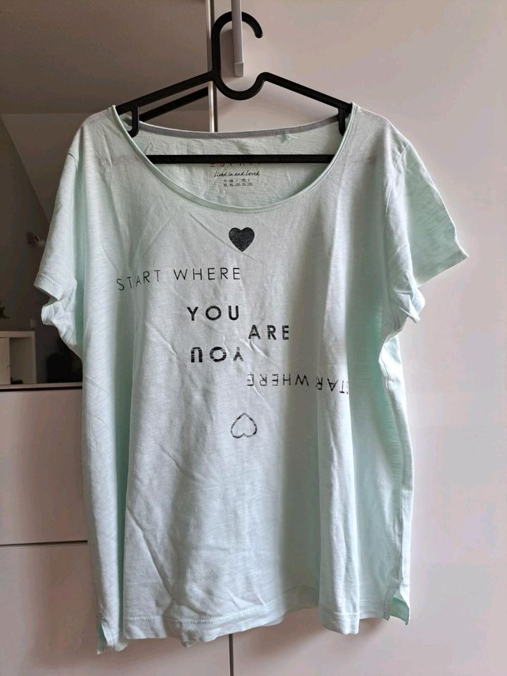 T-Shirt - Esprit - XL - mint in Moselkern