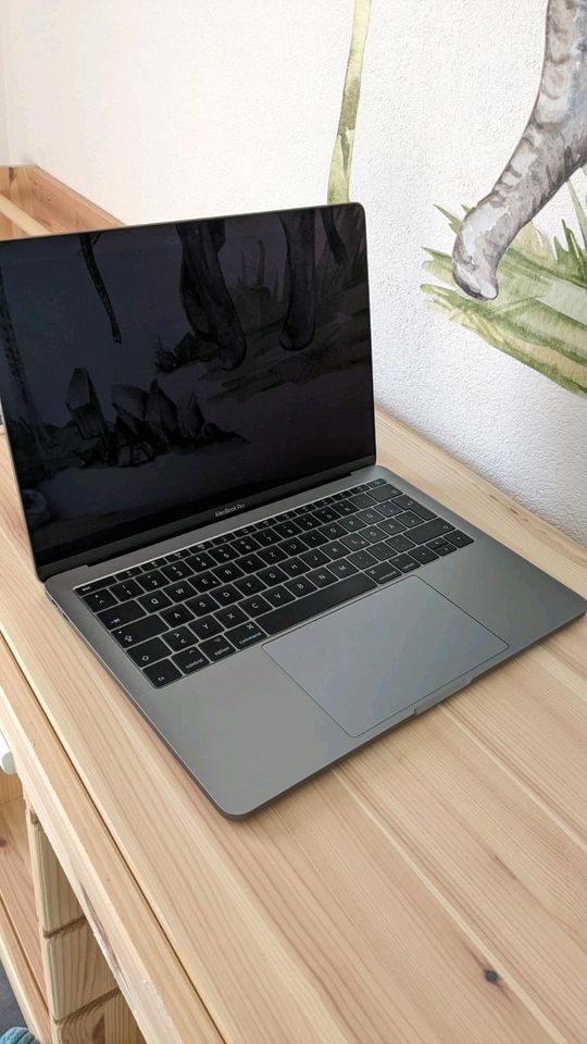 Apple MacBook Pro 2017, 13.3 Zoll, Retina Display in Heidelberg