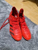 Adidas Fußballschuhe Halle Brandenburg - Prenzlau Vorschau