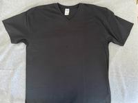 Gildan Premium V Neck Herren T Shirt neu XL Hamburg - Altona Vorschau