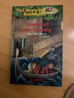 Das magische Baumhaus - Sturmflut vor Venedig Band 31 Bayern - Straubing Vorschau