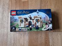 Lego 76395 Harry Potter Erste Flugstunde mit Exclusiver Minifigur Baden-Württemberg - Bempflingen Vorschau