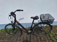 Damenfahrrad Raleigh Niedersachsen - Bad Pyrmont Vorschau