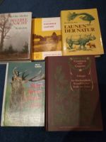 Konvolut Bücher Jagd Literatur Fachbuch Wild Rothirsch  Parey Thüringen - Floh-Seligenthal-Floh Vorschau