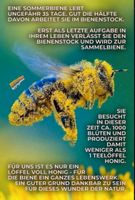 Unterricht Mathe und Physik bis Klasse 10 Saarland - Kleinblittersdorf Vorschau