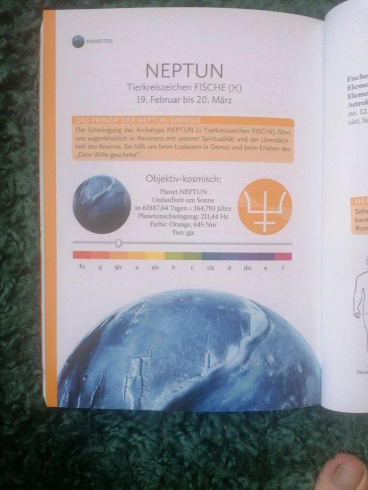 Kristallklangschale Neptun Ton Gis Planet Frequenz in Braunschweig