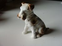 antik Porzellan Hund Terrier/ Foxterrier  Porzellanfigur antik Hu Berlin - Spandau Vorschau