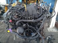 Motor 1,5 DCI Nissan Renault K9K628  Euro4 Delphi Bayern - Schöllkrippen Vorschau