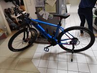 Pedelec Bulls Twenty9 Evo 1 CX 500Wh Frankfurt am Main - Bonames Vorschau