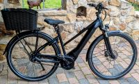 E-Bike Damen Nordrhein-Westfalen - Mettingen Vorschau