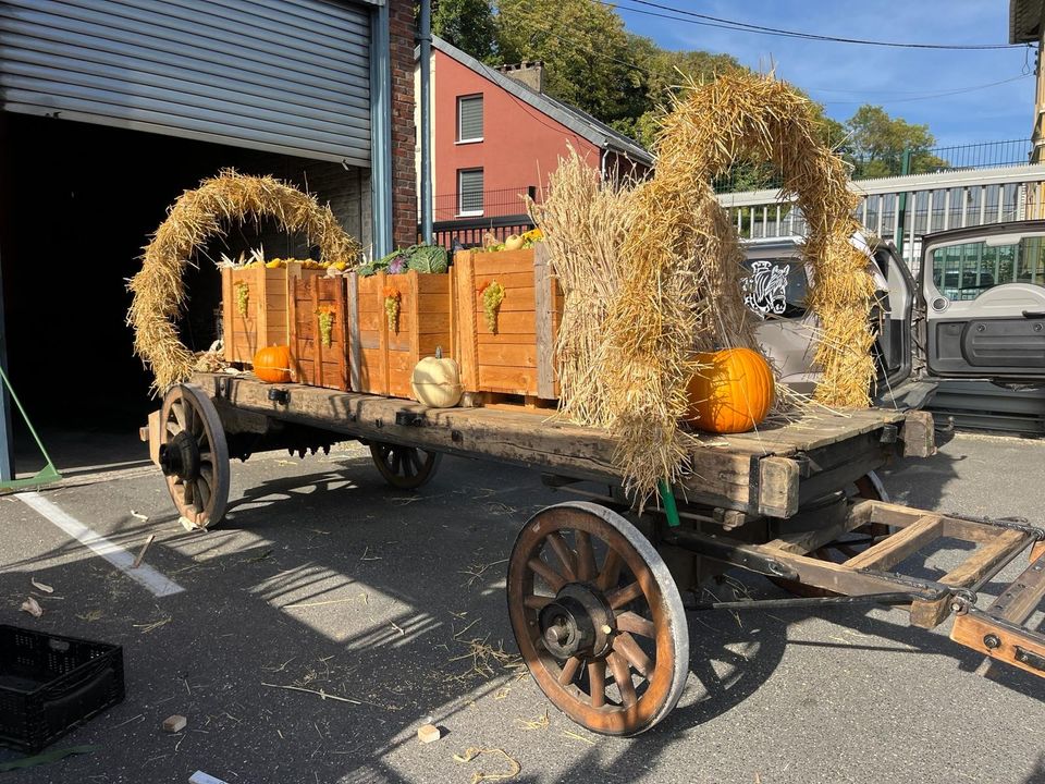 Holzwagen, Pferdewagen, Leiterwagen,Kaltblut, in Aachen