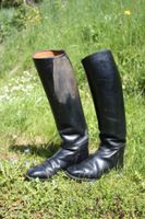 Lederreitstiefel, Cavallo Ganzschaft, Gr. 41, gebraucht Niedersachsen - Westerstede Vorschau