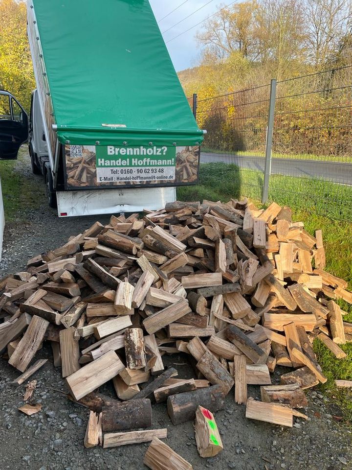 Buche Brennholz Kaminholz Gera Jena Weida Ronneburg Zeitz Auma in Stadtroda