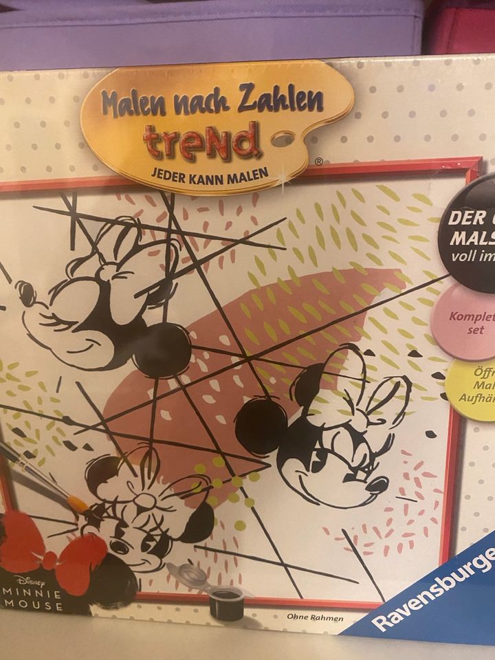 Malen nach zahlen Disney Trend in Bietigheim-Bissingen