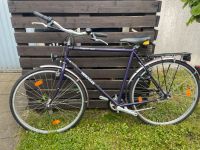 Hercules Magnum Sport 28 Zoll Nordrhein-Westfalen - Iserlohn Vorschau