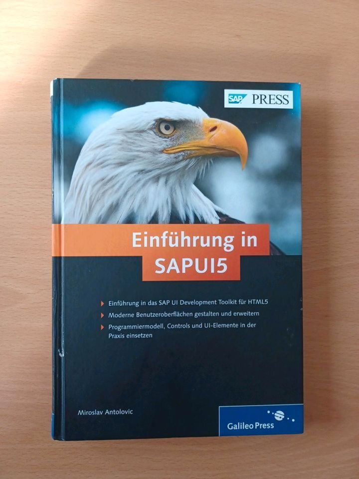 ✔️ Einführung in SAPUI5 ⭐️gepflegt und gut erhalten⭐️ in Hamburg