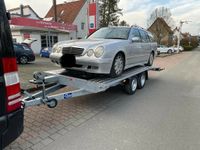 Autotransporter Anhänger Auto PKW Transporter Nordrhein-Westfalen - Löhne Vorschau