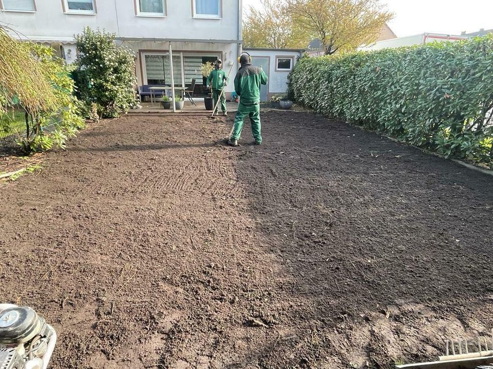 Rollrasen Gärtner Gartenarbeit in Essen