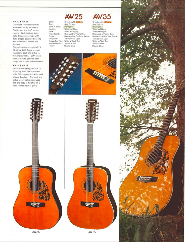 1980 Ibanez AW-25 Artwood 12-Saitige Vintage Japan Westerngitarre in Niebüll