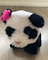 Stofftier Panda mit Geräuschen Nordfriesland - Hattstedt Vorschau