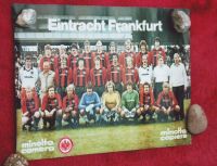 Eintracht Frankfurt Mannschaftsposter mit Spielernamen 1980/1981 Hessen - Rosenthal Vorschau