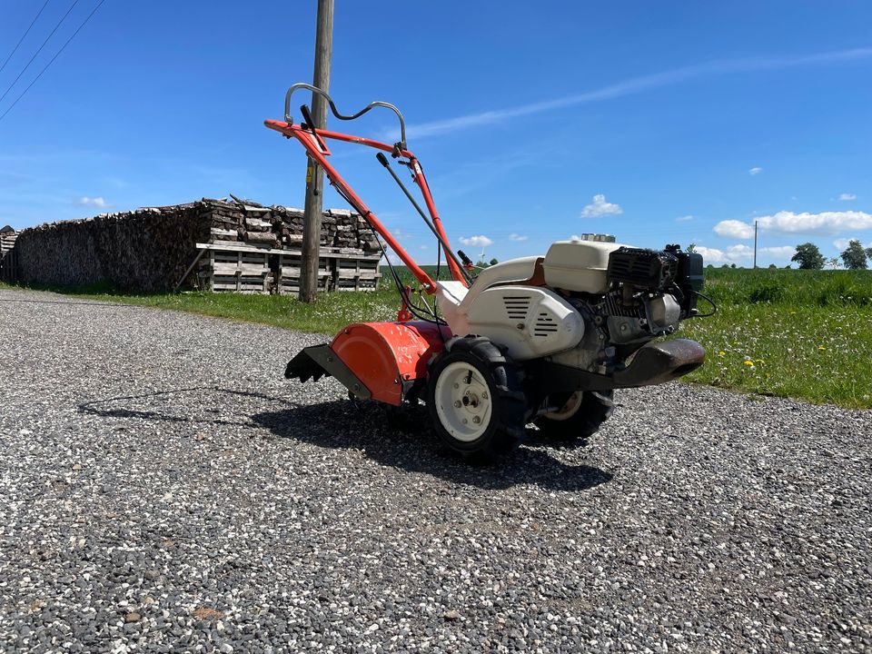 Orec Bodenfräse SF600D Herkules Bodenhacke Motorhacke Gartenfräse in Heilbad Heiligenstadt