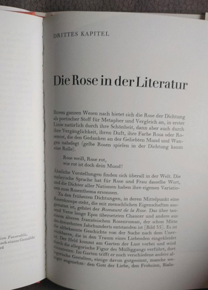 ROSEN ,in Geschichte ,Heilkunst u Küche ,Literatur ,Kunst Vsd 2,- in Homburg