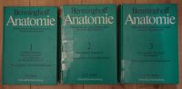 Benninghoff Anatomie Band 1, 2 & 3 Staubesand Urban&Schwarzenberg Leipzig - Altlindenau Vorschau