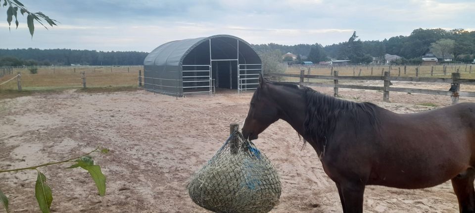 Pferdeparadies in Rundbogenhallen: Reiten bei jedem Wetter - Stabil, Genehmigungsfrei, Wetterfest - Reithalle Pferdestall Weidezelt Agrarzelt Landwirtschaftliche Halle Lagerhalle Sporthalle Depot neu in Zernitz-Lohm