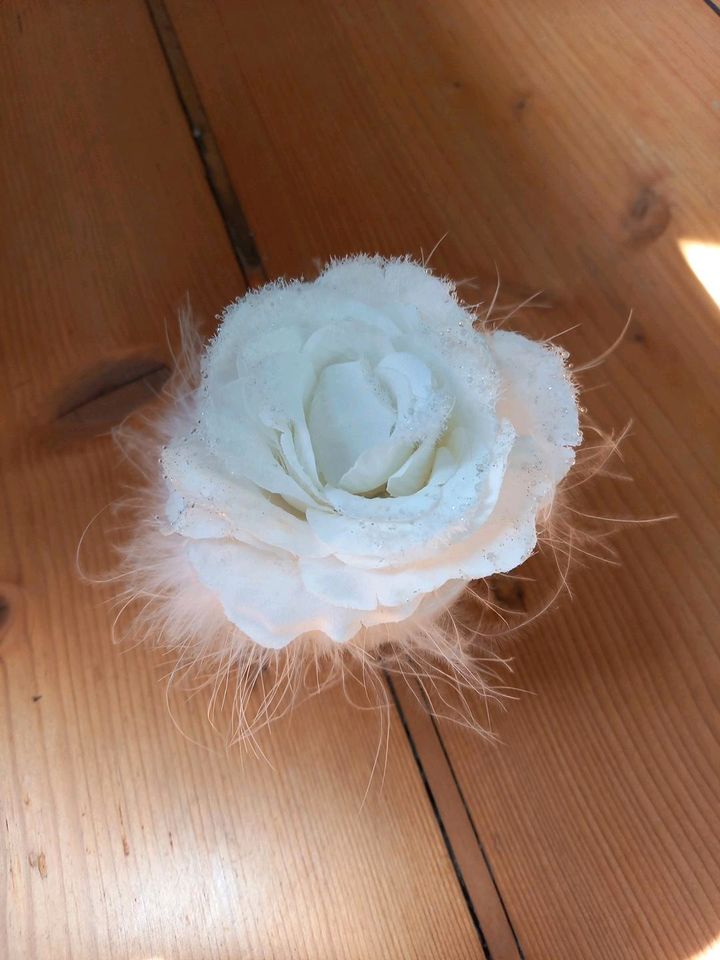 DEKO/ Hochzeit, 7x Weiße Rose in Keramiktopf in Seitenroda