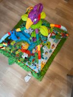 Fisherprice Spielebogen Baden-Württemberg - Ammerbuch Vorschau