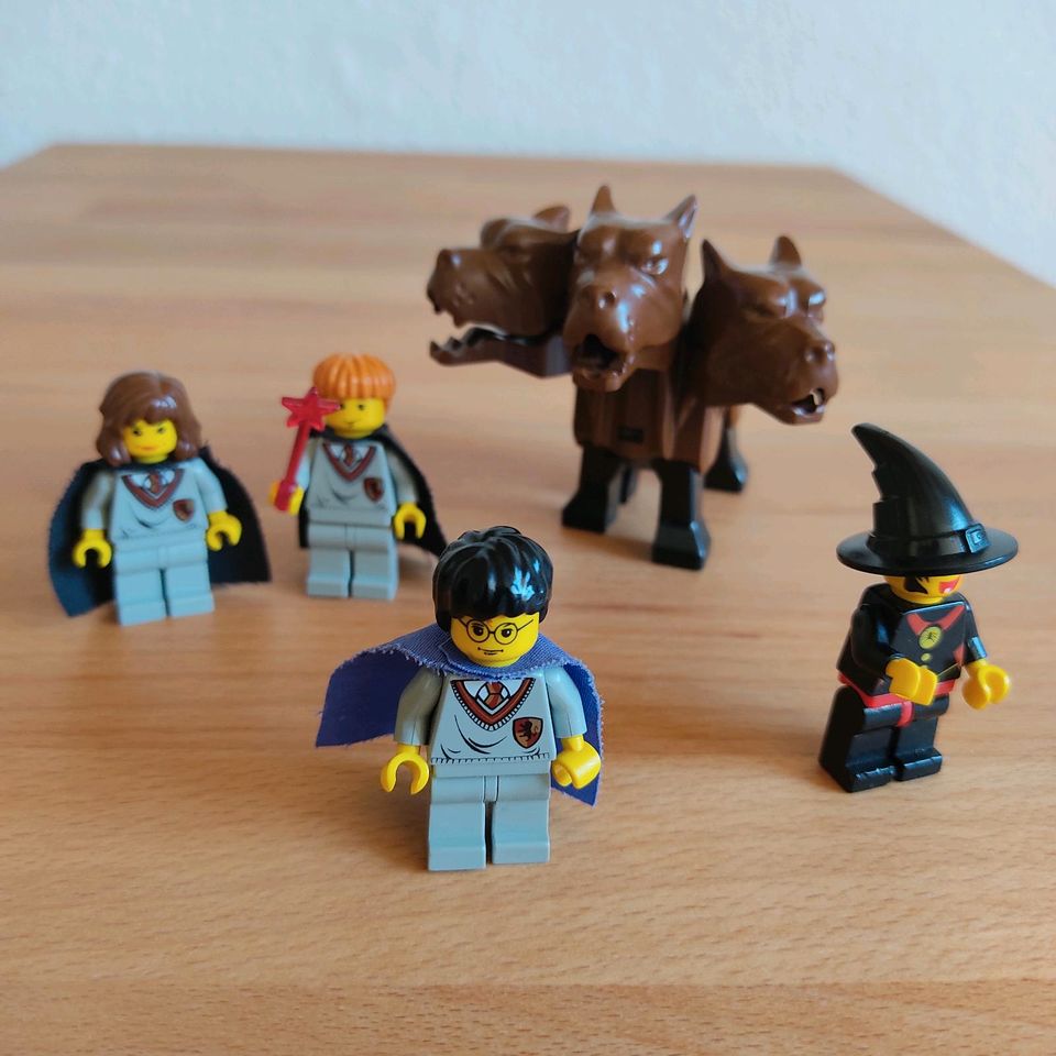 LEGO Harry Potter Figuren dreiköpfiger Hund Hermine Ron Hexe in Bayern -  Miltenberg | Lego & Duplo günstig kaufen, gebraucht oder neu | eBay  Kleinanzeigen ist jetzt Kleinanzeigen