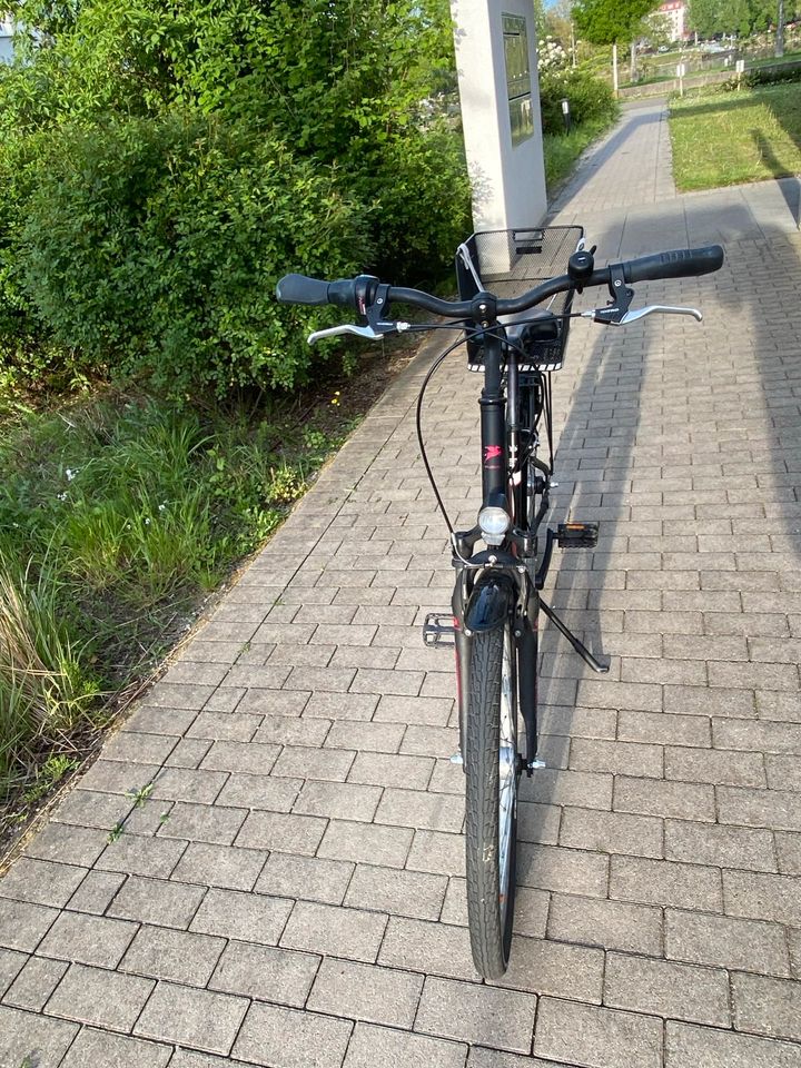 Mädchenfahrrad Pegasus Avanti 7 - 26 Zoll in Ludwigshafen