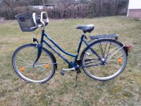 Damenfahrrad Pegasus Swing Niedersachsen - Wietze Vorschau