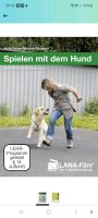 Spielen mit dem Hund* HTS *Anita Balser* DVD * Baden-Württemberg - Haßmersheim Vorschau