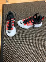 Nike Jordan Kreis Pinneberg - Elmshorn Vorschau