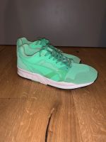 Puma Trinomic (42) Nürnberg (Mittelfr) - Mitte Vorschau