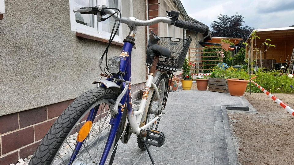 24 Zoll Fahrrad (mit Korb) in Vogelsdorf