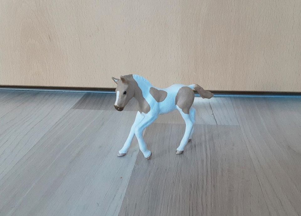 Schleich Paint Horse Fohlen Nr. 13886 in Berlin