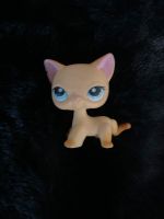 LPS Littlest PET Shop Katze shorthair blue eyes Hasbro Nordrhein-Westfalen - Hilden Vorschau