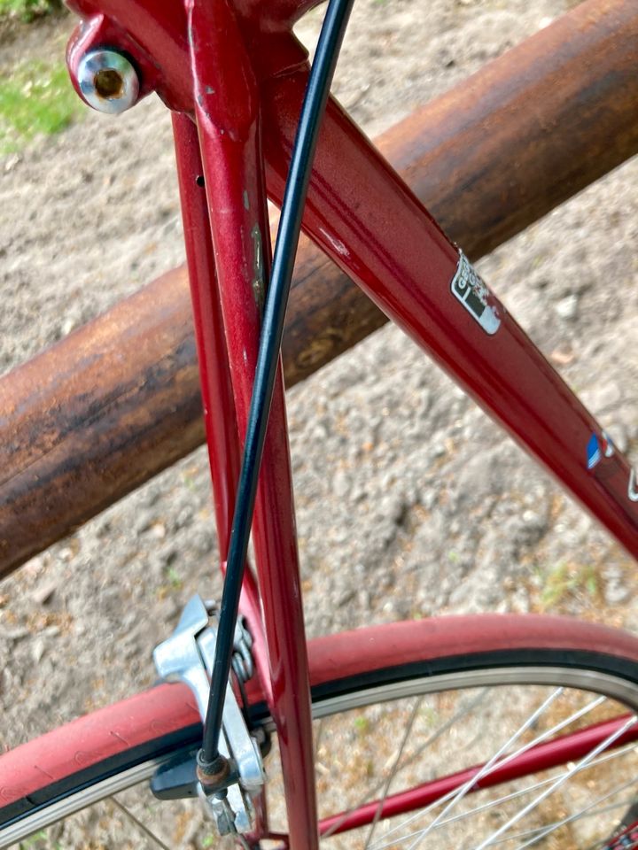Gazelle Rennrad Vintage Olympia Race rot retro in Sottrum