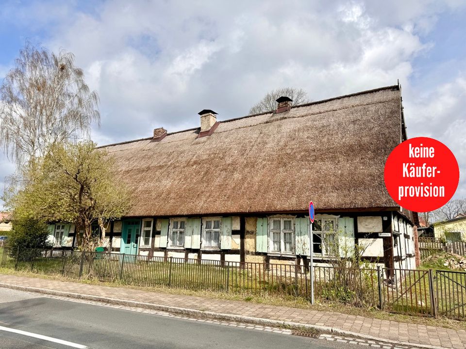 Urig rustikal - ein Haus für Handwerker und Liebhaber in 17375 Ahlbeck bei Eggesin in Ahlbeck